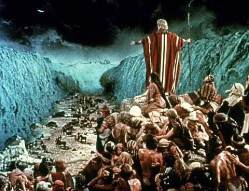 An Irreverent Romp Through The History of God’s People